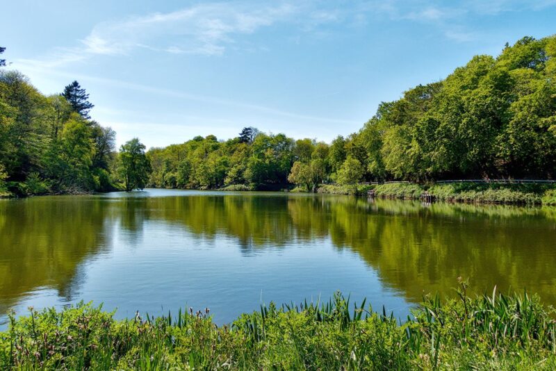 L'étang de Beaulieu